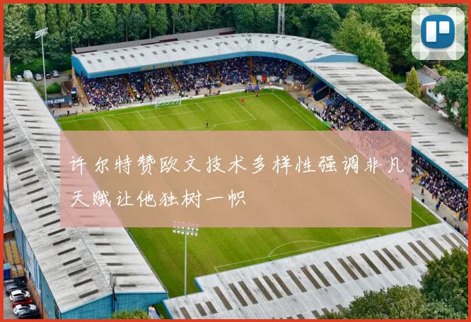 许尔特赞欧文技术多样性强调非凡天赋让他独树一帜