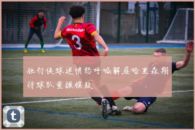 独行侠球迷愤怒呼喊解雇哈里森期待球队重振旗鼓