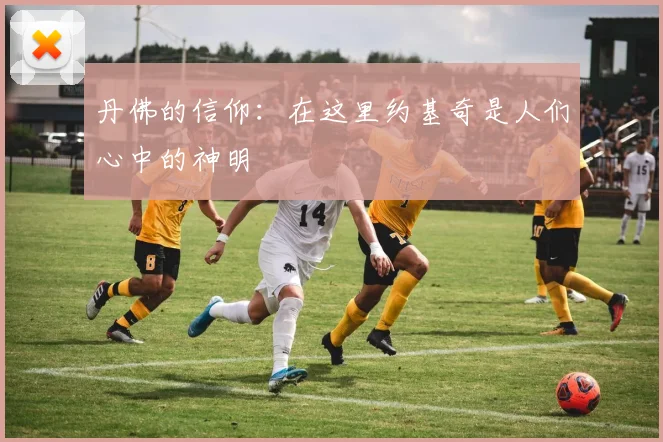丹佛的信仰：在这里约基奇是人们心中的神明
